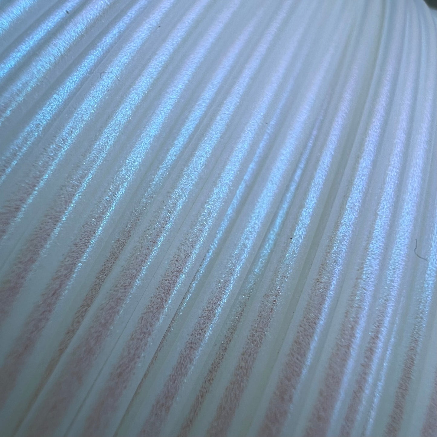 Cookiecad - Blue Pearl PLA Filament 1.75mm, 1kg