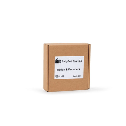 West3D x LDO Systems Baby Belt PRO V2.6 DIY Belt 3D Printer Kit